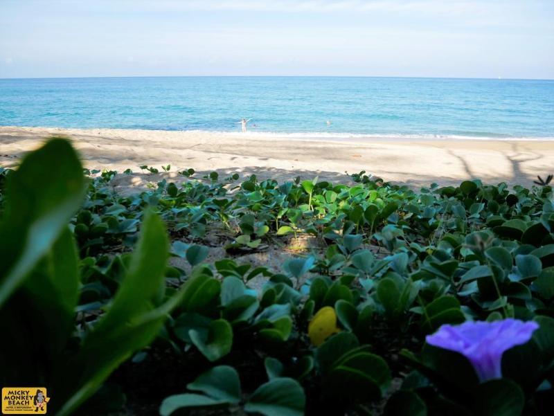 Micky Monkey Beach At Maikhao Beach Hotell Mai Khao Exteriör bild